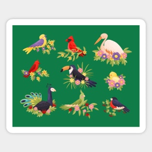 birds sitting on branches collection Magnet